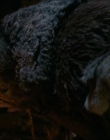 Filename=2024_-_Consumed_mp42095.jpg
Filesize=657KiB
Dimensions=1920x744
Date added=Aug 04, 2025 2024_-_Consumed_mp42095.jpg