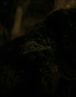 Filename=2024_-_Consumed_mp42220.jpg
Filesize=519KiB
Dimensions=1920x744
Date added=Aug 04, 2025 2024_-_Consumed_mp42220.jpg