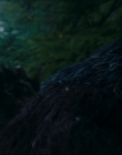 Filename=2024_-_Consumed_mp42527.jpg
Filesize=581KiB
Dimensions=1920x744
Date added=Aug 04, 2025 2024_-_Consumed_mp42527.jpg