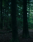 Filename=2024_-_Consumed_mp42675.jpg
Filesize=738KiB
Dimensions=1920x744
Date added=Aug 04, 2025 2024_-_Consumed_mp42675.jpg