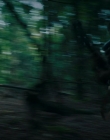 Filename=2024_-_Consumed_mp42676.jpg
Filesize=632KiB
Dimensions=1920x744
Date added=Aug 04, 2025 2024_-_Consumed_mp42676.jpg