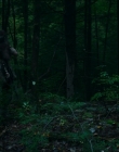 Filename=2024_-_Consumed_mp42689.jpg
Filesize=766KiB
Dimensions=1920x744
Date added=Aug 04, 2025 2024_-_Consumed_mp42689.jpg