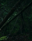 Filename=2024_-_Consumed_mp42747.jpg
Filesize=700KiB
Dimensions=1920x744
Date added=Aug 04, 2025 2024_-_Consumed_mp42747.jpg