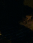 Filename=2024_-_Consumed_mp42982.jpg
Filesize=481KiB
Dimensions=1920x744
Date added=Aug 04, 2025 2024_-_Consumed_mp42982.jpg