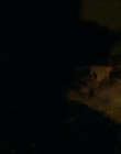 Filename=2024_-_Consumed_mp42983.jpg
Filesize=481KiB
Dimensions=1920x744
Date added=Aug 04, 2025 2024_-_Consumed_mp42983.jpg