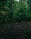 Filename=2024_-_Consumed_mp43527.jpg
Filesize=983KiB
Dimensions=1920x744
Date added=Aug 04, 2025 2024_-_Consumed_mp43527.jpg