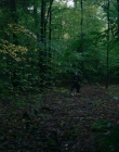 Filename=2024_-_Consumed_mp43530.jpg
Filesize=961KiB
Dimensions=1920x744
Date added=Aug 04, 2025 2024_-_Consumed_mp43530.jpg