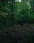 Filename=2024_-_Consumed_mp43531.jpg
Filesize=976KiB
Dimensions=1920x744
Date added=Aug 04, 2025 2024_-_Consumed_mp43531.jpg