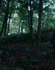 Filename=2024_-_Consumed_mp43602.jpg
Filesize=771KiB
Dimensions=1920x744
Date added=Aug 04, 2025 2024_-_Consumed_mp43602.jpg