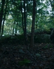 Filename=2024_-_Consumed_mp43603.jpg
Filesize=884KiB
Dimensions=1920x744
Date added=Aug 04, 2025 2024_-_Consumed_mp43603.jpg