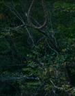 Filename=2024_-_Consumed_mp43699.jpg
Filesize=763KiB
Dimensions=1920x744
Date added=Aug 04, 2025 2024_-_Consumed_mp43699.jpg