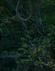 Filename=2024_-_Consumed_mp43700.jpg
Filesize=774KiB
Dimensions=1920x744
Date added=Aug 04, 2025 2024_-_Consumed_mp43700.jpg