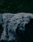 Filename=2024_-_Consumed_mp43708.jpg
Filesize=605KiB
Dimensions=1920x744
Date added=Aug 04, 2025 2024_-_Consumed_mp43708.jpg