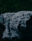 Filename=2024_-_Consumed_mp43709.jpg
Filesize=635KiB
Dimensions=1920x744
Date added=Aug 04, 2025 2024_-_Consumed_mp43709.jpg