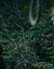 Filename=2024_-_Consumed_mp43737.jpg
Filesize=716KiB
Dimensions=1920x744
Date added=Aug 04, 2025 2024_-_Consumed_mp43737.jpg