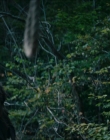Filename=2024_-_Consumed_mp43738.jpg
Filesize=732KiB
Dimensions=1920x744
Date added=Aug 04, 2025 2024_-_Consumed_mp43738.jpg