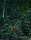 Filename=2024_-_Consumed_mp43740.jpg
Filesize=778KiB
Dimensions=1920x744
Date added=Aug 04, 2025 2024_-_Consumed_mp43740.jpg
