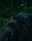 Filename=2024_-_Consumed_mp43768.jpg
Filesize=607KiB
Dimensions=1920x744
Date added=Aug 04, 2025 2024_-_Consumed_mp43768.jpg