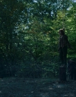 Filename=2024_-_Consumed_mp43772.jpg
Filesize=1148KiB
Dimensions=1920x744
Date added=Aug 04, 2025 2024_-_Consumed_mp43772.jpg