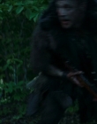 Filename=2024_-_Consumed_mp43782.jpg
Filesize=561KiB
Dimensions=1920x744
Date added=Aug 04, 2025 2024_-_Consumed_mp43782.jpg