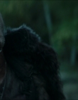 Filename=2024_-_Consumed_mp43812.jpg
Filesize=566KiB
Dimensions=1920x744
Date added=Aug 04, 2025 2024_-_Consumed_mp43812.jpg