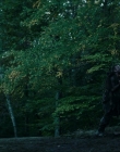 Filename=2024_-_Consumed_mp43813.jpg
Filesize=1063KiB
Dimensions=1920x744
Date added=Aug 04, 2025 2024_-_Consumed_mp43813.jpg