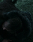 Filename=2024_-_Consumed_mp43819.jpg
Filesize=648KiB
Dimensions=1920x744
Date added=Aug 04, 2025 2024_-_Consumed_mp43819.jpg