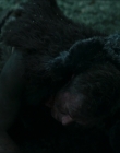 Filename=2024_-_Consumed_mp43820.jpg
Filesize=622KiB
Dimensions=1920x744
Date added=Aug 04, 2025 2024_-_Consumed_mp43820.jpg