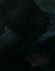 Filename=2024_-_Consumed_mp43821.jpg
Filesize=601KiB
Dimensions=1920x744
Date added=Aug 04, 2025 2024_-_Consumed_mp43821.jpg