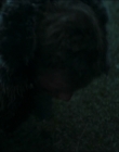 Filename=2024_-_Consumed_mp43822.jpg
Filesize=573KiB
Dimensions=1920x744
Date added=Aug 04, 2025 2024_-_Consumed_mp43822.jpg