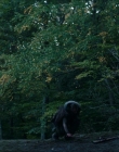 Filename=2024_-_Consumed_mp43843.jpg
Filesize=1066KiB
Dimensions=1920x744
Date added=Aug 04, 2025 2024_-_Consumed_mp43843.jpg