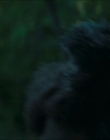 Filename=2024_-_Consumed_mp43856.jpg
Filesize=581KiB
Dimensions=1920x744
Date added=Aug 04, 2025 2024_-_Consumed_mp43856.jpg