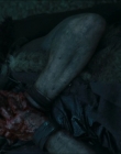 Filename=2024_-_Consumed_mp43920.jpg
Filesize=621KiB
Dimensions=1920x744
Date added=Aug 04, 2025 2024_-_Consumed_mp43920.jpg