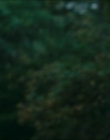 Filename=2024_-_Consumed_mp43999.jpg
Filesize=564KiB
Dimensions=1920x744
Date added=Aug 04, 2025 2024_-_Consumed_mp43999.jpg