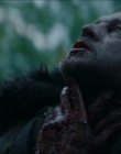 Filename=2024_-_Consumed_mp44005.jpg
Filesize=607KiB
Dimensions=1920x744
Date added=Aug 04, 2025 2024_-_Consumed_mp44005.jpg