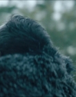 Filename=2024_-_Consumed_mp44008.jpg
Filesize=649KiB
Dimensions=1920x744
Date added=Aug 04, 2025 2024_-_Consumed_mp44008.jpg