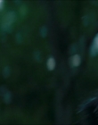 Filename=2024_-_Consumed_mp44011.jpg
Filesize=568KiB
Dimensions=1920x744
Date added=Aug 04, 2025 2024_-_Consumed_mp44011.jpg