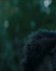 Filename=2024_-_Consumed_mp44014.jpg
Filesize=580KiB
Dimensions=1920x744
Date added=Aug 04, 2025 2024_-_Consumed_mp44014.jpg