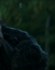 Filename=2024_-_Consumed_mp44026.jpg
Filesize=562KiB
Dimensions=1920x744
Date added=Aug 04, 2025 2024_-_Consumed_mp44026.jpg