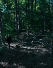 Filename=2024_-_Consumed_mp44029.jpg
Filesize=978KiB
Dimensions=1920x744
Date added=Aug 04, 2025 2024_-_Consumed_mp44029.jpg