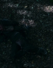 Filename=2024_-_Consumed_mp44033.jpg
Filesize=816KiB
Dimensions=1920x744
Date added=Aug 04, 2025 2024_-_Consumed_mp44033.jpg