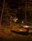 Filename=2024_-_Consumed_mp44179.jpg
Filesize=899KiB
Dimensions=1920x744
Date added=Aug 04, 2025 2024_-_Consumed_mp44179.jpg