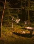 Filename=2024_-_Consumed_mp44180.jpg
Filesize=987KiB
Dimensions=1920x744
Date added=Aug 04, 2025 2024_-_Consumed_mp44180.jpg