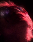 Filename=2024_-_Consumed_mp44190.jpg
Filesize=602KiB
Dimensions=1920x744
Date added=Aug 04, 2025 2024_-_Consumed_mp44190.jpg
