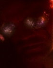 Filename=2024_-_Consumed_mp44200.jpg
Filesize=586KiB
Dimensions=1920x744
Date added=Aug 04, 2025 2024_-_Consumed_mp44200.jpg