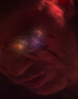 Filename=2024_-_Consumed_mp44348.jpg
Filesize=586KiB
Dimensions=1920x744
Date added=Aug 04, 2025 2024_-_Consumed_mp44348.jpg