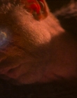 Filename=2024_-_Consumed_mp44546.jpg
Filesize=634KiB
Dimensions=1920x744
Date added=Aug 04, 2025 2024_-_Consumed_mp44546.jpg